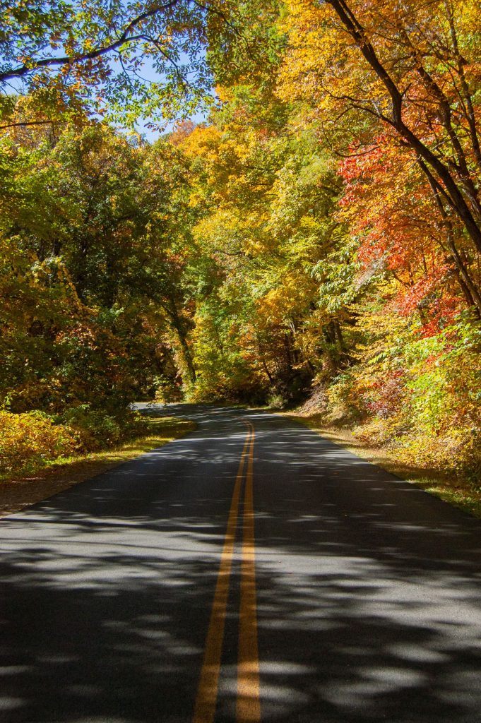 Hanna Houghton - Autumn on the Parkway, Photography