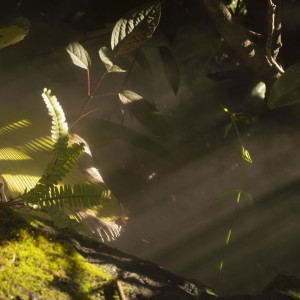 Photography, https://www.instagram.com/shuttereye.photos/