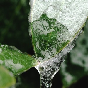 Digital Photography, 300, https://dhlomo.photography/