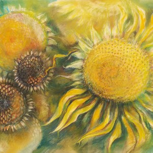 Nikki Coulombe Sunflowers Soft Pastels 750 https://www.nikkiartwork.com