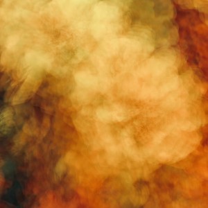 Photography, $250, https://www.rzwart.com