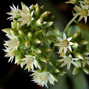 Photography, rjandrewsphoto.net