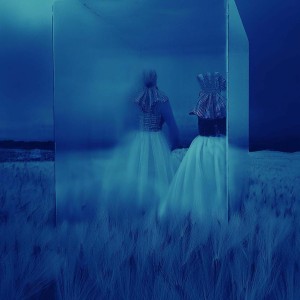 Anke Neugebauer Culm fruit 1 digital photo art 400€ @seydelei