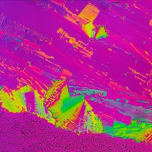 Marek Sutkowski - Deep Sea Shells - Liquid Crystal Photopainting