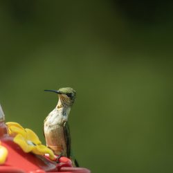 resplendence 2, digital photography - https://www.instagram.com/backroadsinfinity/ Backroads Infinity