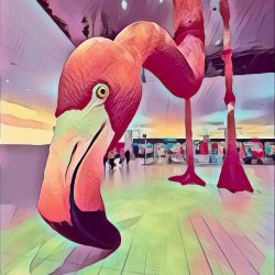 Phoebe the Giant Flamingo - Digital Photograph Manipulation - www.bbromart.com Bryan Bromstrup