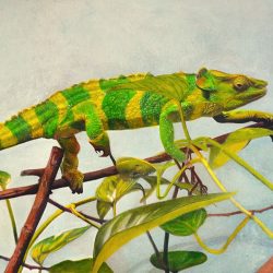 The Chameleon, Acrylic on 300LB Hot Press - https://www.artbycher.ca Cher Pruys
