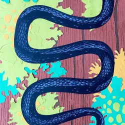 Black Rat Snake - https://christinahollering.com Christina Hollering