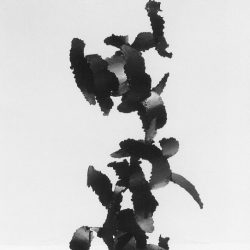 Shadow / Painted steel - https://jasonshih.com Jason Shih