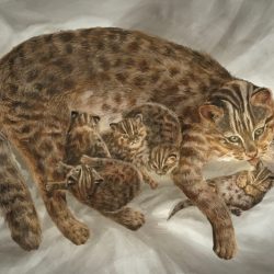 Motherhood - No Website Ji Yoon Kate Park