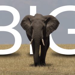 Jose Cabrera-Ontiveros - Big - https://cabreraontiverosf5a9.myportfolio.com/ Jose Luis Cabrera-Ontiveros