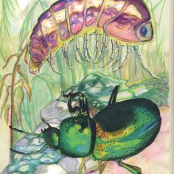 Buggy Nights - Colored pencil and watercolor collage - www.instagram.com/brekkie.rice