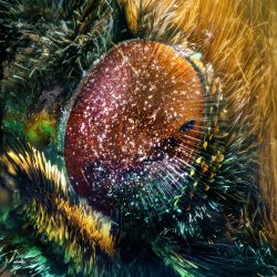 no-title - No Website Marek Sutkowski