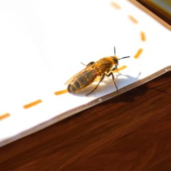 RUNWAY - https://www.instagram.com/my_pics.me/ Michael Eckart