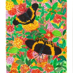 Colorful Paradise, Mixed Media - https://www.instagram.com/phyllis.chua Phyllis Chua