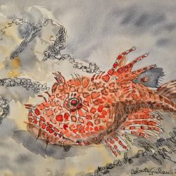 Redfish, watercolor, ink and tempera - www.robertagiuliani.it Roberta Giuliani