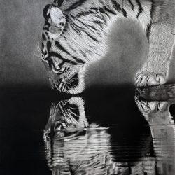 A mirror to the soul Sandra Gschnell