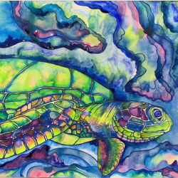 Drift & Disappear - Watercolor - No Website Susan Millan