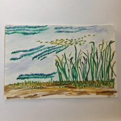 Pond 1 watercolor and ink on paper - No Website Cathleen Corliss - Pond 1 watercolor and ink on paper- No Website