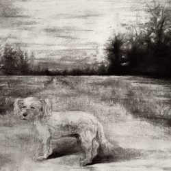 Memories I Couldn’t Save (Spaceboy, I’ve Missed You) - kaeyu.net Kae Yu - Memories I Couldn’t Save (Spaceboy, I’ve Missed You)- kaeyu.net