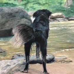 FETCH, Colored Pencil - https://www.facebook.com/shelley.althouseoberholser Rochelle Oberholser3-Fetch, Gone Fishing, Ukrainian Woman, Caught in a War - FETCH, Colored Pencil- https://www.facebook.com/shelley.althouseoberholser