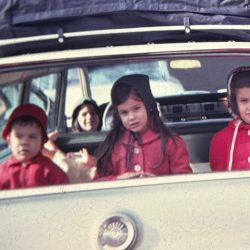 Backseat Travelers - photograph - https://sites.google.com/view/susn-milln/home Susan Millan - Backseat Travelers - photograph- https://sites.google.com/view/susn-milln/home