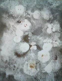 Da'sos:  mushroom spore prints, graphite on paper - aurorapope.com Aurora Pope - Da'sos: mushroom spore prints, graphite on paper