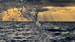 The Wave  Photography  - https://www.instagram.com/bbbeaglebearphotography Brigitte B Burckhardt - The Wave Photography