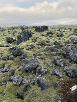 Lexiong Ying_Icelandic Fantasia_ Photography_4 - https://www.instagram.com/lexi.visual?igsh=eGxwcmJ1NW9jNmQ0&utm_source=qr Lexiong Ying - Lexiong Ying_Icelandic Fantasia_ Photography_4