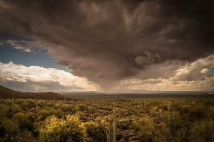 Storm on Desert Horizon photograph - No Website Michele M Miller - Storm on Desert Horizon photograph