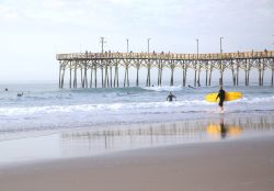 "Yum Yum Yellow" - Photograph - tinamorrisonphoto.com Tina Morrison - "Yum Yum Yellow" - Photograph