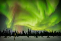 Brilliant Aurora - Fine Art digital image printed on metallic paper - www.natureslensworkphotography.com Beth Vander Heiden - Brilliant Aurora - Fine Art digital image printed on metallic paper