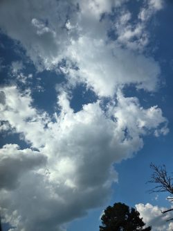 NC Clouds - photograph - No Website Joanne Perez - NC Clouds - photograph