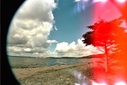 Transitory Space, McNab's Island #193, Halifax, Nova Scotia, Canada, Color photography shot in camera on 35 mm film - http://www.leahoates.com Leah Oates - Transitory Space, McNab's Island #193, Halifax, Nova Scotia, Canada, Color photography shot in camera on 35 mm film