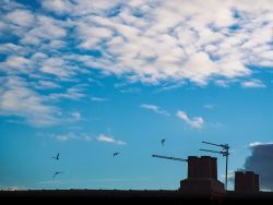 Blue silhouette (Photography) - https://www.instagram.com/esencia_visuals/ Tobiloba Ajimuda - Blue silhouette (Photography)