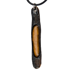 Halimaris (algae) - versiliy.com Versiliy - Halimaris (algae)