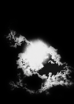 Glorified, Photograph - www.shopmql.com William Miquel - Glorified, Photograph