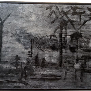 The Darkness of Disaster - No Website Lauren Manera - The Darkness of Disaster