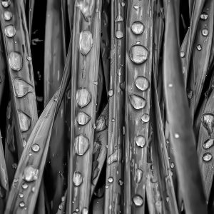 Water slides, photography - www.mimmsphotography.com Stephen Mimms - Water slides, photography