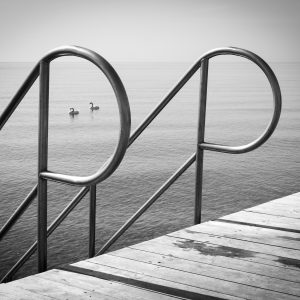 T.Karl Stelling - Jetty with Swans - www.stelling-photo.com T. Karl Stelling - T.Karl Stelling - Jetty with Swans