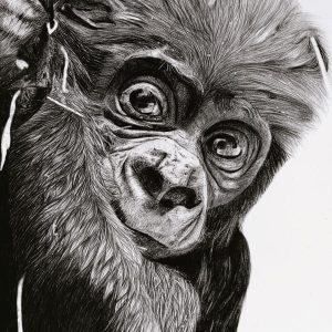 Looking cute graphite - https://www.facebook.com/tanya.finch3 Tanya Finch - Looking cute graphite