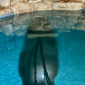 Lunar Reflections - No Website Blanche Rychel - Lunar Reflections