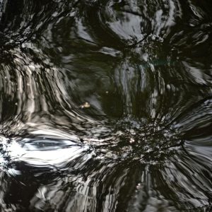 Vetro Simile - Photography - No Website Debbie Jaye - Vetro Simile - Photography