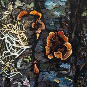 Julie C Baer - Hairy Curtain Crust (Stereum hirsutum), 2025, Mixed media on wood panel, 12x12x2”, $800 - https://www.juliebaer.com/ Julie C Baer - Hairy Curtain Crust (Stereum hirsutum), 2025, Mixed media on wood panel, 12x12x2”, $800 - https://www.juliebaer.com/