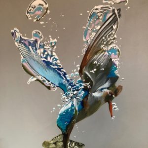 Diving Kingfisher - No Website Morgan McCarthy - Diving Kingfisher