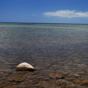 Ukumehame Beach 14 - photography - fuchsiawombatart.com Stephanie Gambini - Ukumehame Beach 14 - photography