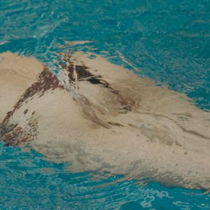 Liquid Confessions - https://wantingwang.cargo.site/ WANTING WANG - Liquid Confessions