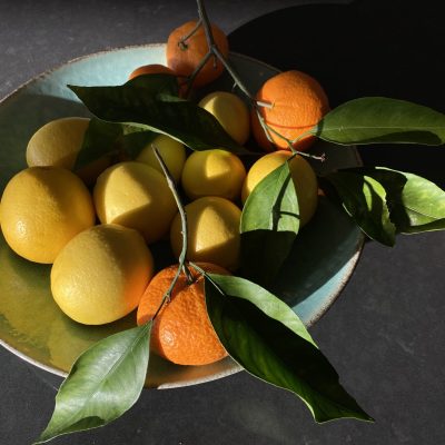 Miriam Schulman Title: Citrus Harvest