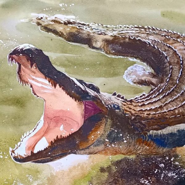 irina Yushmánova Endorphine.Art_The crocodile_Watercolor