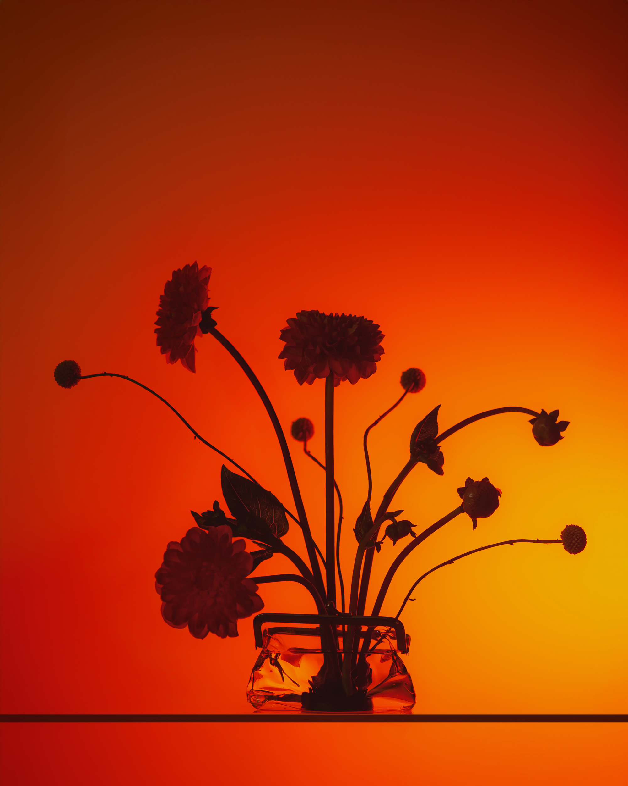 Dina Belenko - Play Pretend